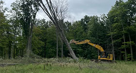 Land-Clearing